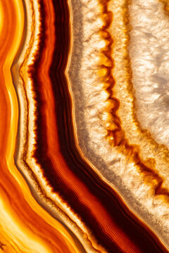 An agate slice showing bands of colorful minerals and crystals