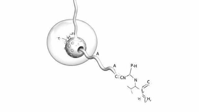 Detailed 3D animation showcasing a molecular structure engaging with a cellular component, highlighting scientific research.