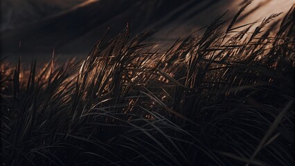 old book on wooden table