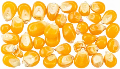 Scattered yellow corn kernels on white background with glossy texture and natural variation