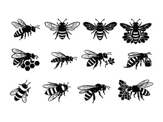 Set of Realistic Bee  Vector Illustration