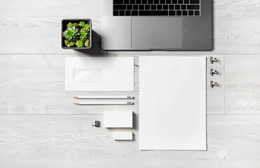 Blank stationery set. Succulent plant and laptop on light wooden surface. Corporate identity template. Flat lay.