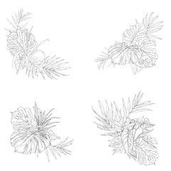 Palm leaves and monstera, Guzmania flower on a corner composition, sketch. Vector illustration. Tropical tree leaves, set isolated on white background. Lush wildlife plants and fresh jungle foliage