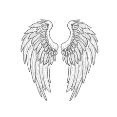 Hawk or eagle wings, black and white sketch. Vector illustration. Bird wings and feathers isolated on white background. Mystical angel or griffin wings for tattoos, t-shirts, stickers, and other uses