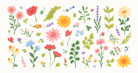 Fototapeta premium Set of spring and summer abstract hand drawn flowers. Floral cute doodle elements, wildflower, leaves and herb, plants, foliage. Colorful drawing brush, crayon, line. Vector illustration.