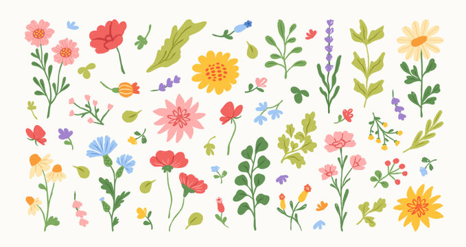 Set of spring and summer abstract hand drawn flowers. Floral cute doodle elements, wildflower, leaves and herb, plants, foliage. Colorful drawing brush, crayon, line. Vector illustration.