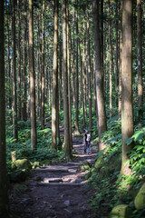 Fototapeta premium Landscape View Of Beautiful Trails To Wainiaozui Shan With View Of Shihmen Reservoir Form Mautu Discovery Forest Hiking Trail, Guanxi, Hsinchu, Taiwan 