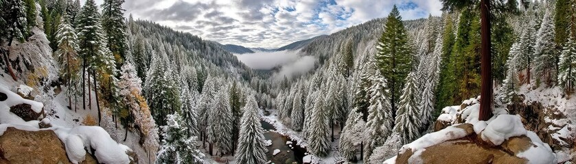 A stunning winter landscape featuring snow-covered trees, a deep valley, and a cloudy sky, showcasing the tranquility of nature in its pristine form.
