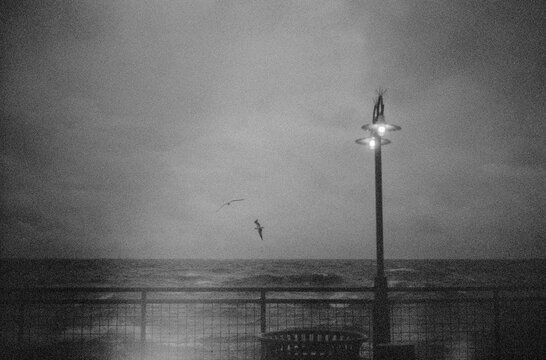 Seagulls hover over rough water from boardwalk b&w film