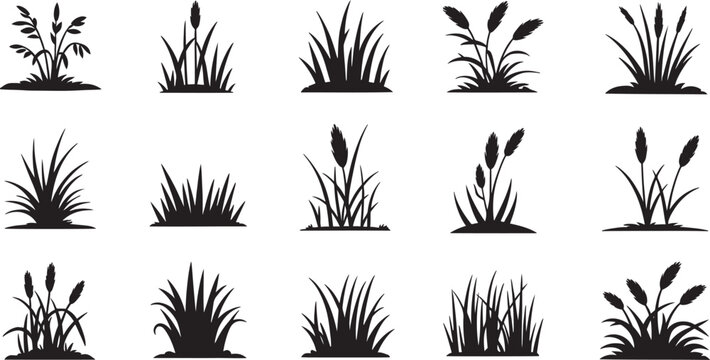 Set of black silhouette grass and plants