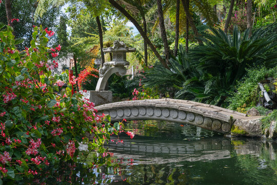 Luxuriant tropical garden with stone bridge in Monte Palace Tropical Garden Funchal