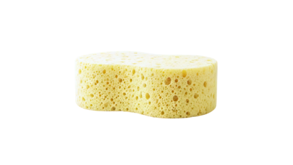 Yellow Sponge