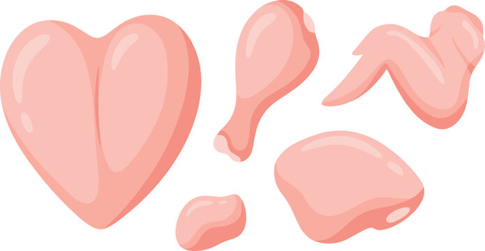 Raw chicken cuts cartoon style, heart drumstick wing fillet nugget, food icon set for culinary use, flat vector illustration