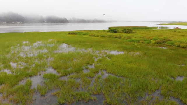 Aerial footage captures the serene beauty of a coastal estuary at Sand Lake, Oregon. Winding waterways meander through lush green salt marsh cordgrass and wetlands, with a tranquil layer of mist hover