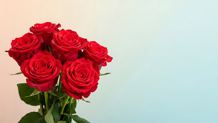 Fototapeta premium Fresh red roses with copy space on pastel background