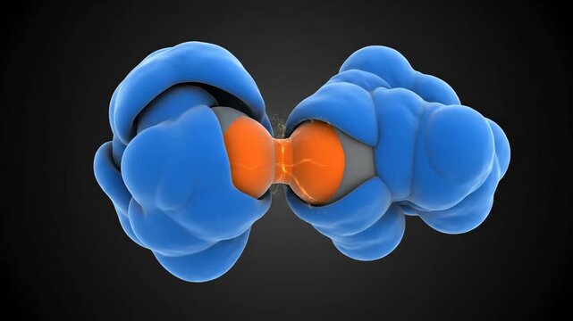 Dynamic animation illustrating molecular interaction, where two particles bind and fuse within cellular environments.