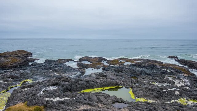 A scenic horizontal shot of the rugged volcanic basalt coastline and intertidal zone at Cook's Chasm, part of the Cape Perpetua Scenic Area near Yachats, Oregon, USA.