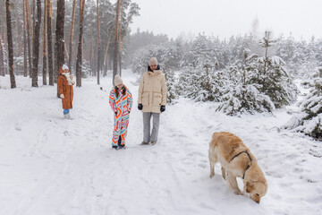 Family winter walk in snowy pine forest with golden retriever dog, children and adults enjoying cold weather outdoor leisure and calm holiday atmosphere with falling snow