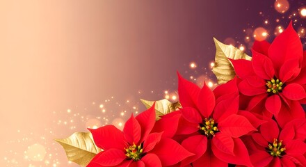 Vibrant poinsettias on a gradient background for mother's day celebration