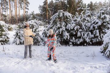 Two young women playing with snow in winter pine forest, enjoying outdoor leisure and friendship during calm seasonal walk
