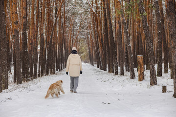 Middle aged woman walking with Golden Retriever dog along snowy forest path, quiet winter trail between tall pine trees, peaceful outdoor walk, pet companionship and calm seasonal lifestyle