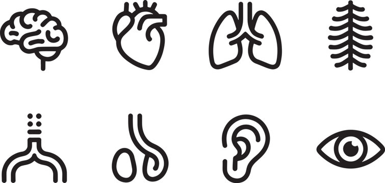 Arrangement of stylized human internal organ symbols represents biological structure and medical knowledge within a clean, schematic format.