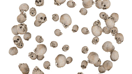 Scattered Human Skulls on Black Background