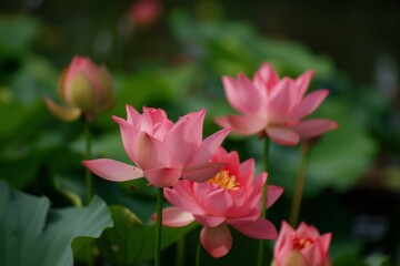 Obraz premium Embracing the Charm of Natural Scenery and all living things in it