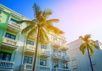 Fototapeta premium Palm trees on hotel apartments background. Palm trees at white building. Apartments on bright sky sunlight, vacation at sea. Tall palm trees on facade hotel building background in seaside holiday.
