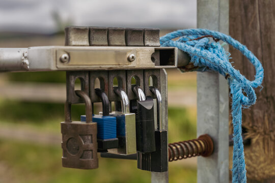 Multiple Padlocks Securing Metal Gate with Blue Rope