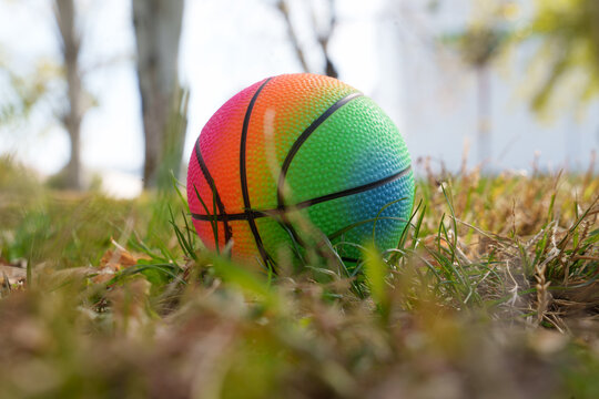 Playful scene with vibrant basketball resting among autumn leaves in park at dawn