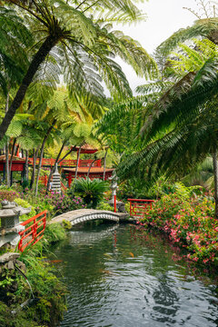 Lush tropical garden with bridge in Monte Palace Tropical Garden Madeira
