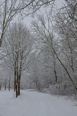 Verschneite Winterlandschaft 