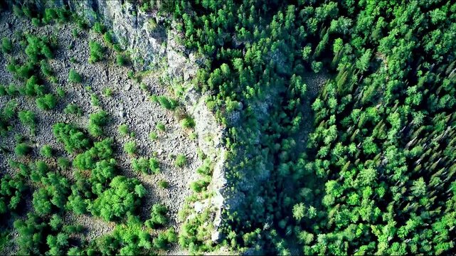 Bird's eye view of green forest and rocks.