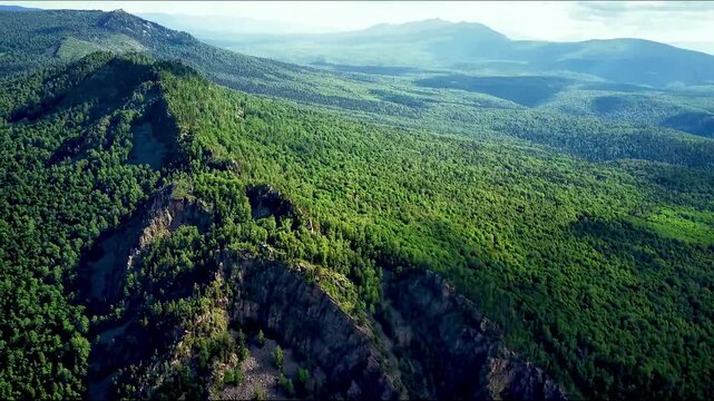 Bird's eye view of green forest and rocks.