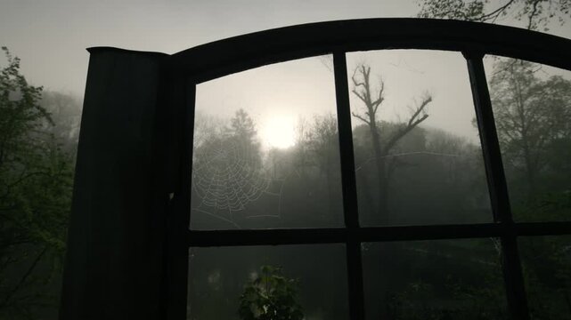 window in the morning fog with spiderweb