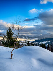 Mystical snowy Carpathian peaks under cloudy skies in the sunny weather