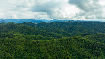 Obraz premium Breathtaking aerial view of lush green tropical mountains under a clear blue sky with white clouds, scenic nature landscape and eco-tourism adventure concept from drone.concept nature