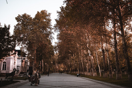 Alisher Navoi Park of Culture and Recreation in Samarkand.