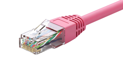 Pink ethernet cable connector isolated on transparent background