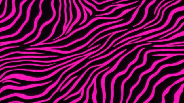 Bright pink and black zebra print pattern