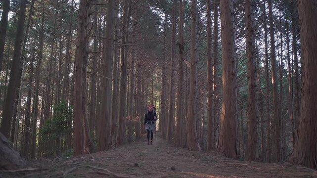 Girl Henro walks the route of 88 temples on Shikoku Island through the forest