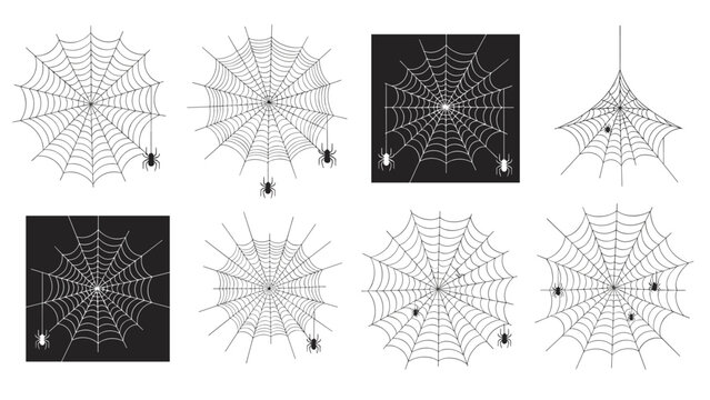 Extensive set of spider web illustrations in various shapes and sizes includes small spiders hanging from silk threads for spooky decor.