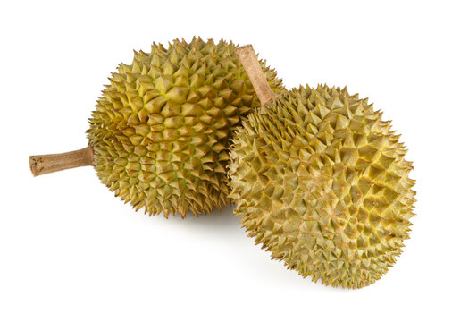 Fresh Musang King durian isolated on white background