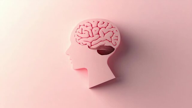 An of a brain with pink hues set against a darker pink silhouette of a human head and shoulders