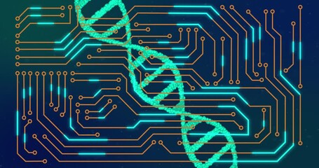 Animation of network of connections over dna strand - Powered by Adobe