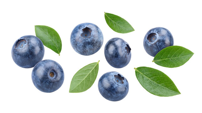 a close-up photographic composition of plump, ripe blueberries artfully arranged with fresh green leaves on a dark background, emphasizing their natural beauty and health benefits.