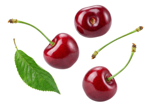 ripe, glossy cherries with a fresh green leaf and detached stems, isolated on a transparent background, presented as a beautiful fruit composition.