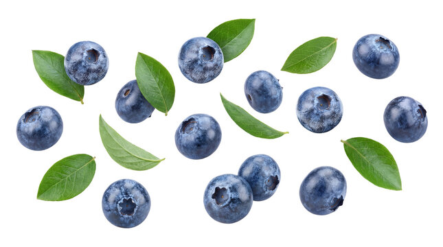 a scattered arrangement of fresh, ripe blueberries with green leaves against a transparent background, symbolizing healthy eating and antioxidant benefits.