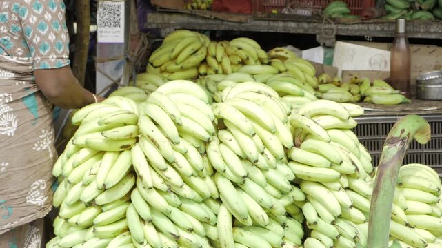 Banana Bonanza  A Glimpse into the World of Fresh Fruit
